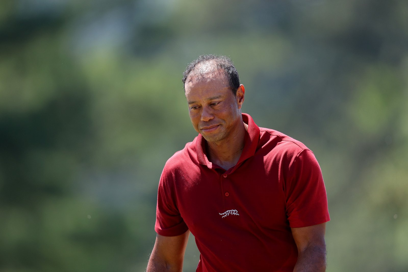 Tiger Woods